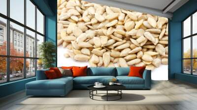 Sunflower seeds isolated Wall mural