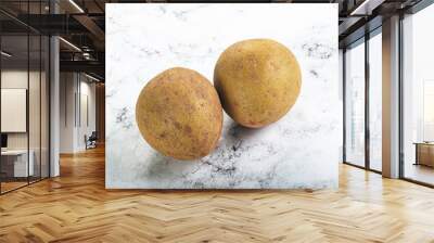 Sweet exotic tropical fruit - Sapodilla Wall mural