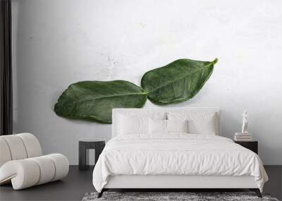 Thai cuisine - Kaffir lime leaves Wall mural