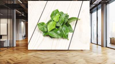 Thai cuisine - Kaffir lime leaves Wall mural