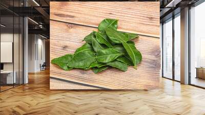 Thai cuisine - Kaffir lime leaves Wall mural