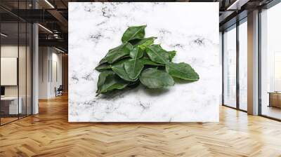 Thai cuisine - Kaffir lime leaves Wall mural