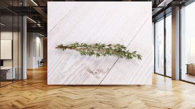 Thyme - aromatic seasoning herbal plant Wall mural