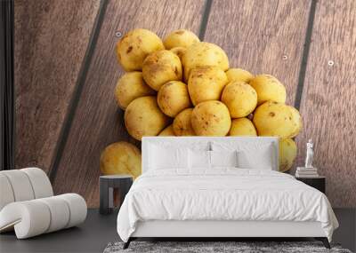 Tropical exotic sweet and juicy Longan Wall mural