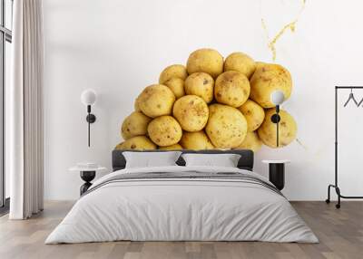 Tropical exotic sweet and juicy Longan Wall mural