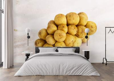 Tropical exotic sweet and juicy Longan Wall mural