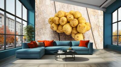 Tropical exotic sweet and juicy Longan Wall mural