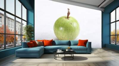 Tropical sweet fruit Sapote Star apple Wall mural