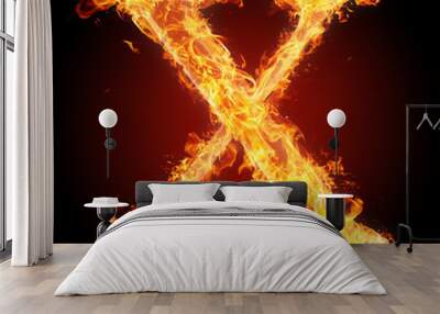 Fonts and symbols in fire for different purposes- X Wall mural