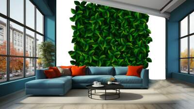 Vector square vertical garden or green wall with decorative green foliage, close-up on a white background Wall mural