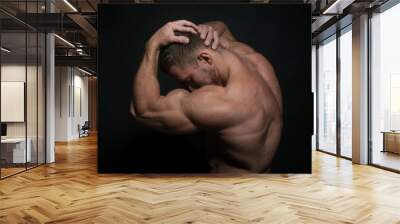 Fitness model Wall mural