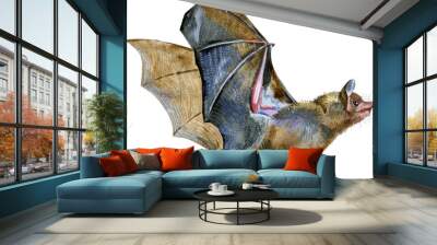 Watercolor illustration of a bat Wall mural