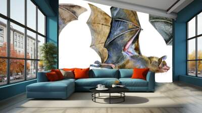 Watercolor illustration of a bats in white background. Wall mural