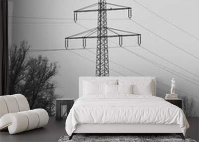 power lines of the sky Wall mural