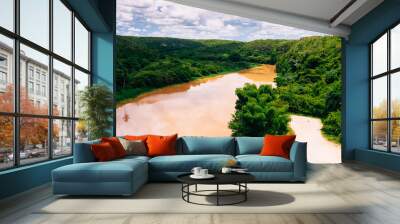 Tropical river Chavon in Dominican Republic Wall mural