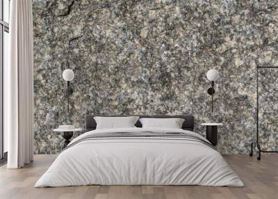 The rough surface of a granite piece of stone. Wall mural