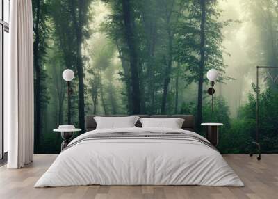 lush green forest in fog, natural jungle panorama Wall mural