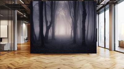 path through a dark forest at night Wall mural