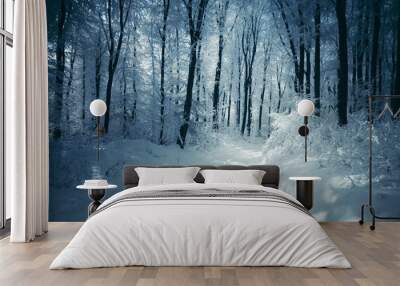 snow covered forest road on cold winter day Wall mural