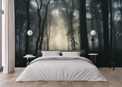 sunset light in dark forest background Wall mural