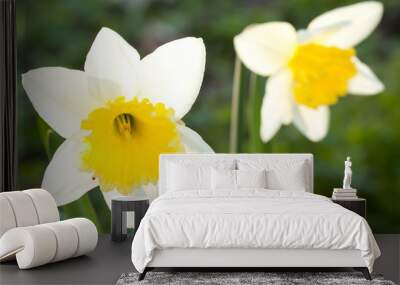 Spring flower Wall mural