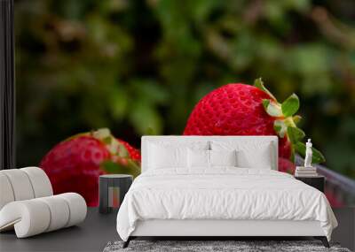 Close-up of some delicious strawberries, detail photograph of a typical red fruit of an area located in huelva, Spain. Wall mural