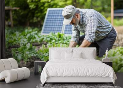 Senior farmer is harvesting organic vegetables in his garden next to a solar panel Wall mural