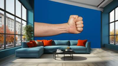 Robust man's hand isolated on a blue background showing a fist seen from the inside. Wall mural