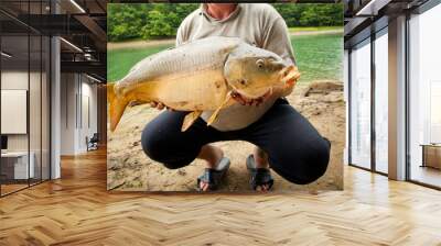 Huge wild carp caught on a bait Wall mural