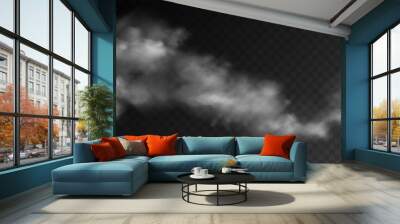 Fog or smoke, white smog clouds on floor, isolated transparent special effect. Vector illustration, morning fog over land or water surface, magic haze.	 Wall mural