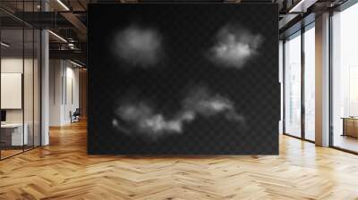 Set Fog or smoke, white smog clouds on the floor, isolated transparent special effects. Vector illustration, morning fog over land or water surface, magic haze. Wall mural