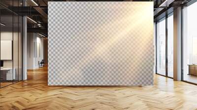 Vector transparent sunlight special lens flare light effect. Sun flash	 Wall mural