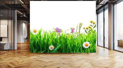 grass and wild flowers background Wall mural