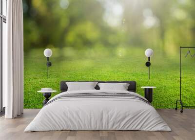 grass background Wall mural