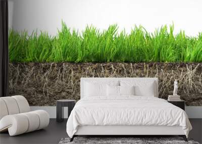 grass with roots and soil Wall mural