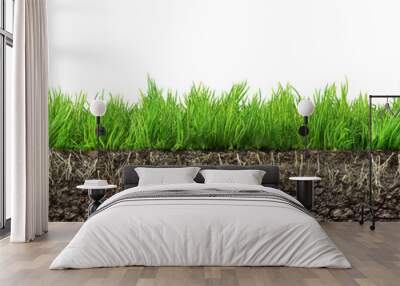 grass with roots and soil Wall mural