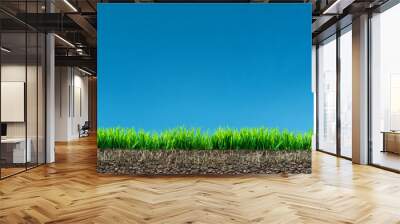 grass with roots and soil Wall mural