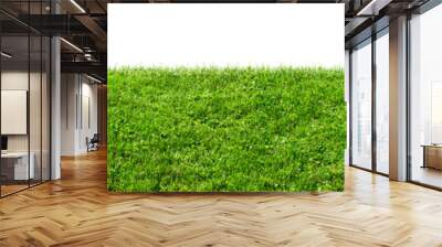 green grass field isolated, png Wall mural