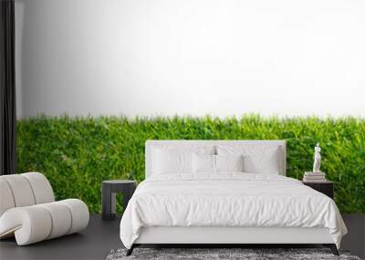 green grass field isolated on transparent background, png Wall mural