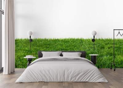 green grass field isolated on white background Wall mural