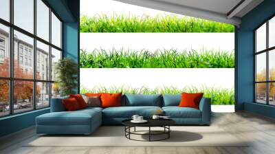 green grass illustration isolated on white background Wall mural