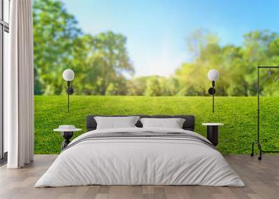 natural grass field background with blurred bokeh and sun rays Wall mural