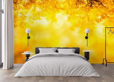 nature autumn background with yellow and orange autumn leaves Wall mural