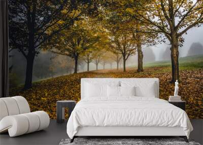 Autumn Path Wall mural