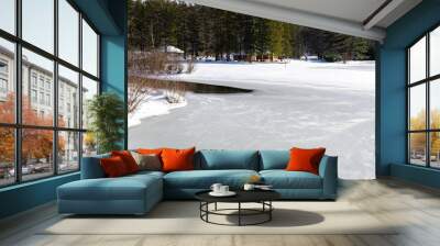 Creek flowing into a frozen lake at a state park Wall mural