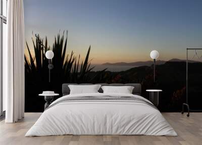 View of Kapiti Island near Wellington, New Zealand with silhouette of flax bush in foreground Wall mural