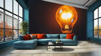 Glowing with Potential: A close-up of a lit incandescent light bulb, its warm glow against a dark background, symbolizes inspiration, innovation, and the potential for new ideas.   Wall mural