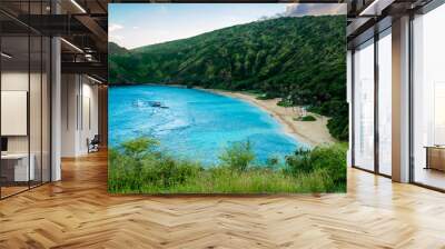 Hanauma Bay Beach 2 Wall mural