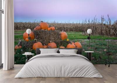 Pumpkins at Sunset Wall mural