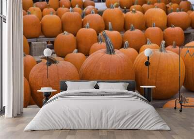 Pumpkins Wall mural